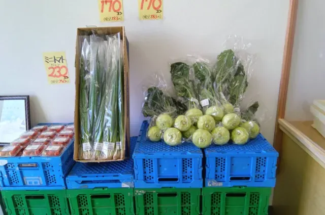 山武市・富里市・八街市・大網白里市・千葉市で栽培した有機野菜