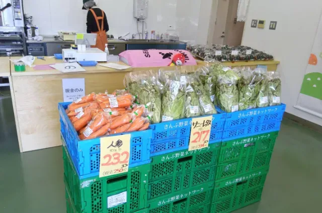 山武市・富里市・八街市・大網白里市・千葉市で栽培した有機野菜